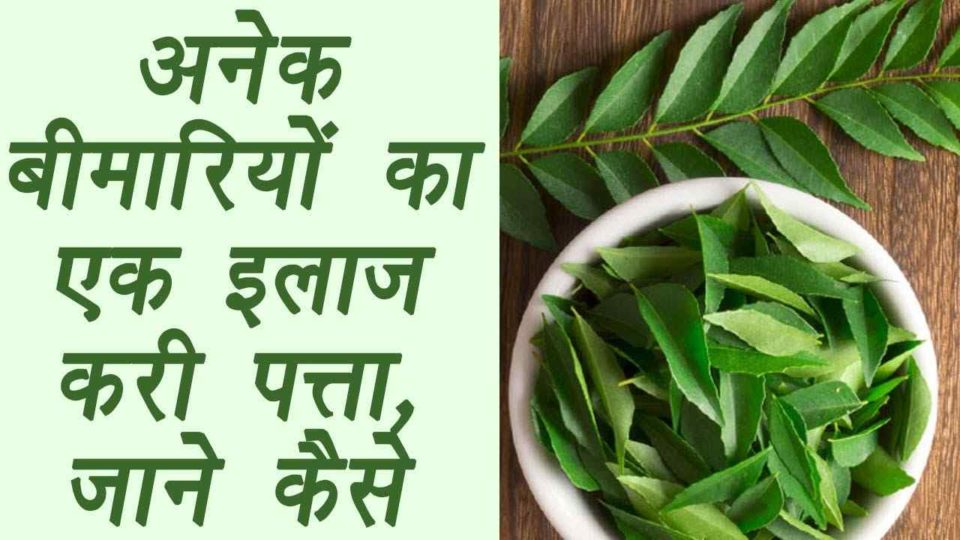 curry-leaves