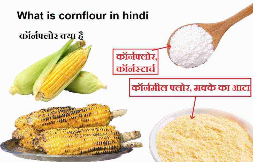 whatiscornflour Hindi Ki News