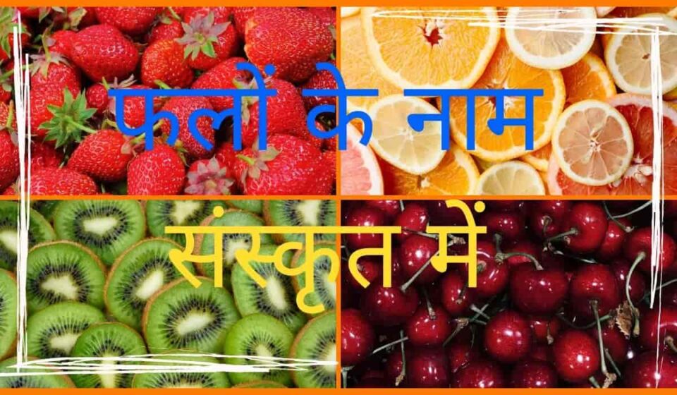 Frutis Name Sanskrit Main (फलों के नाम संस्कृत में)