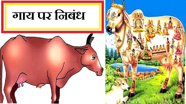 गाय पर निबंध (Cow Par Essay English in hindi)