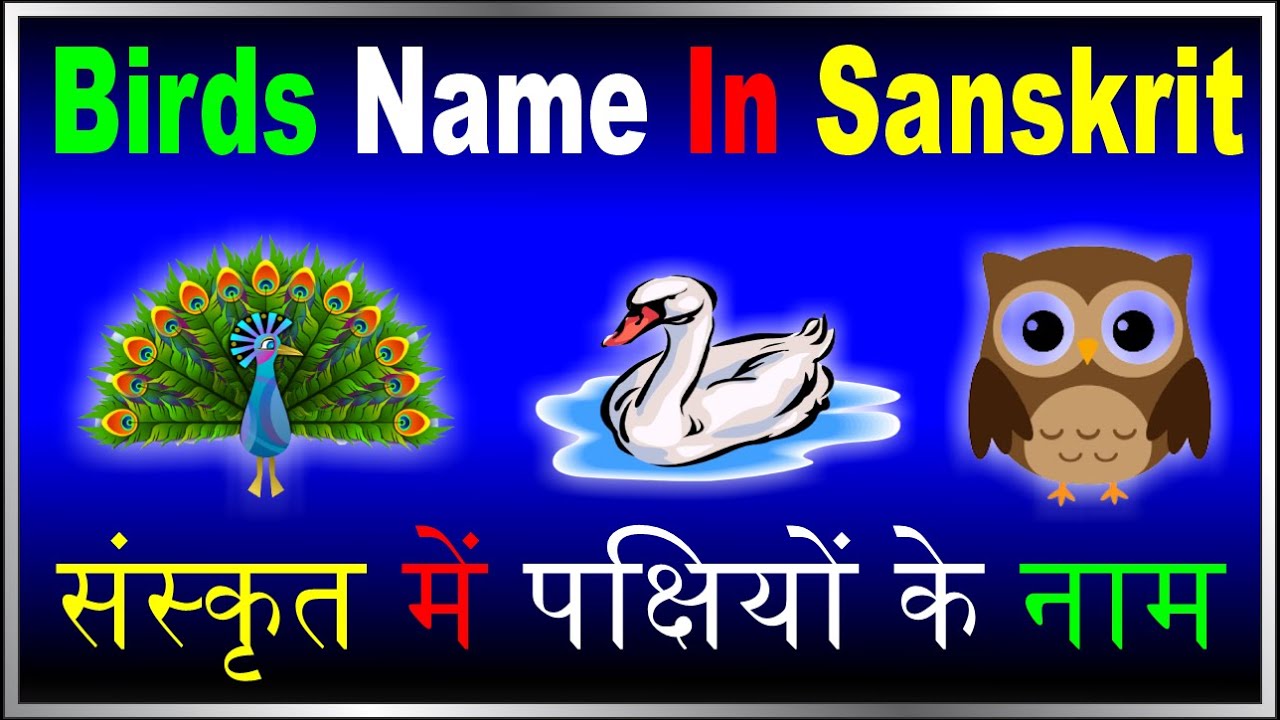 birds-name-in-sanskrit-gk-help