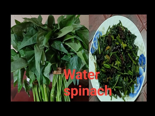 पानी पालक (Paani Palak) - Water Spinach (वाटर स्पिनच)