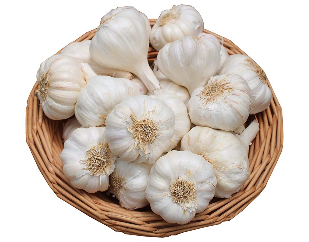 लहसुन (Lahasun) - Garlic (गार्लिक)